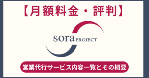 【月額料金・評判】SORAプロジェクトのサービス内容一覧とその概要！導入前の検討材料について